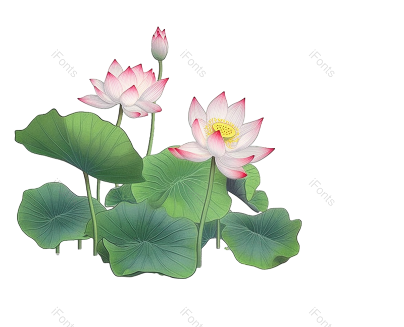 叶子图片,元素元素,荷花PNG,夏天免抠素材